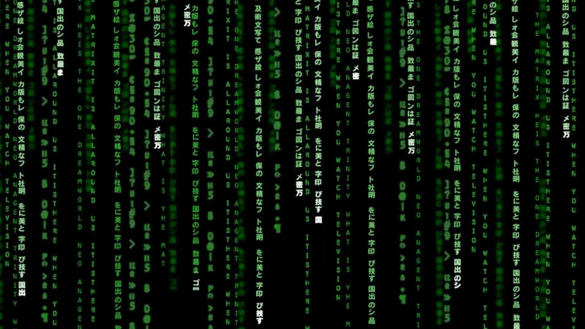 The Matrix Reloaded backdrop