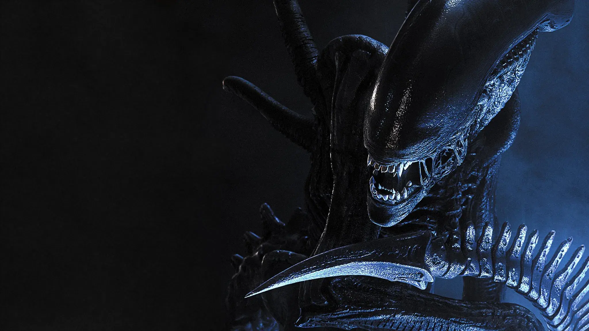 AVP: Alien vs. Predator backdrop
